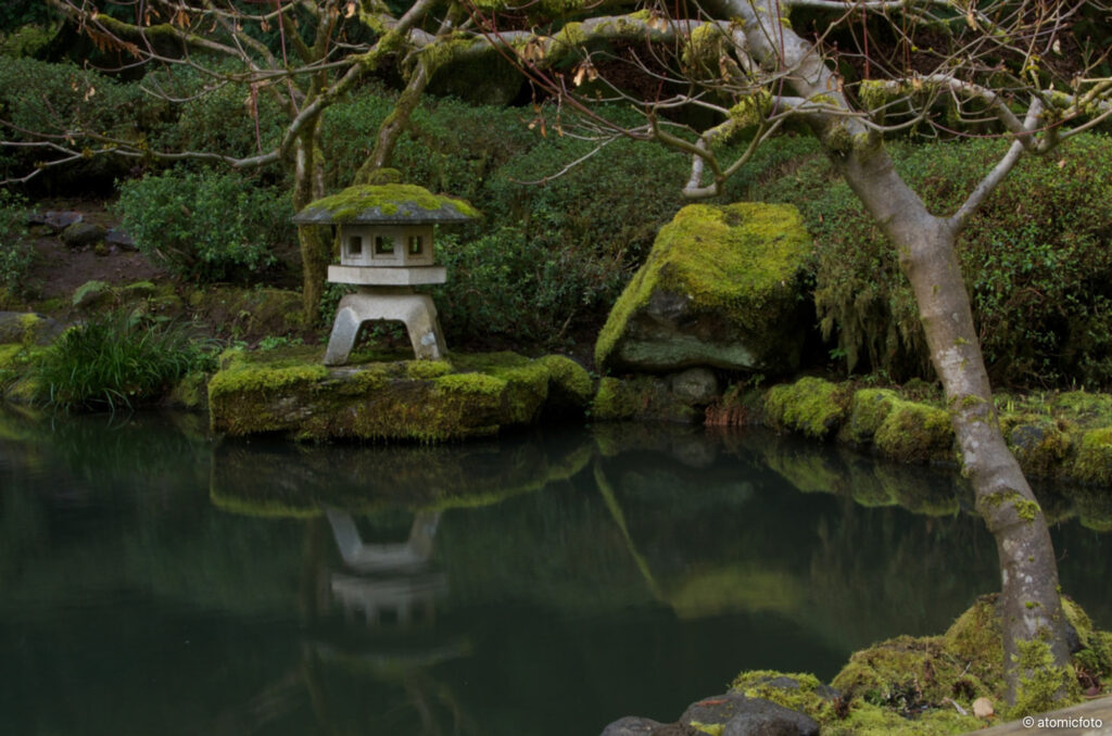 Developing photo skills at the Portland Japanese Garden with David Cobb - atomicFOTO