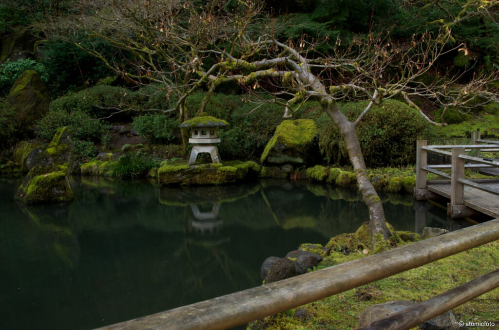 Developing photo skills at the Portland Japanese Garden with David Cobb - atomicFOTO