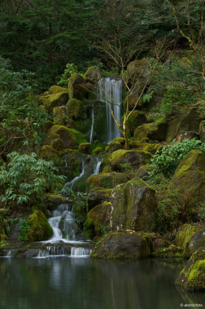 Developing photo skills at the Portland Japanese Garden with David Cobb - atomicFOTO