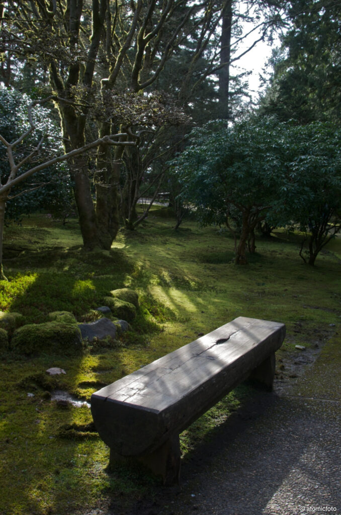 Developing photo skills at the Portland Japanese Garden with David Cobb - atomicFOTO