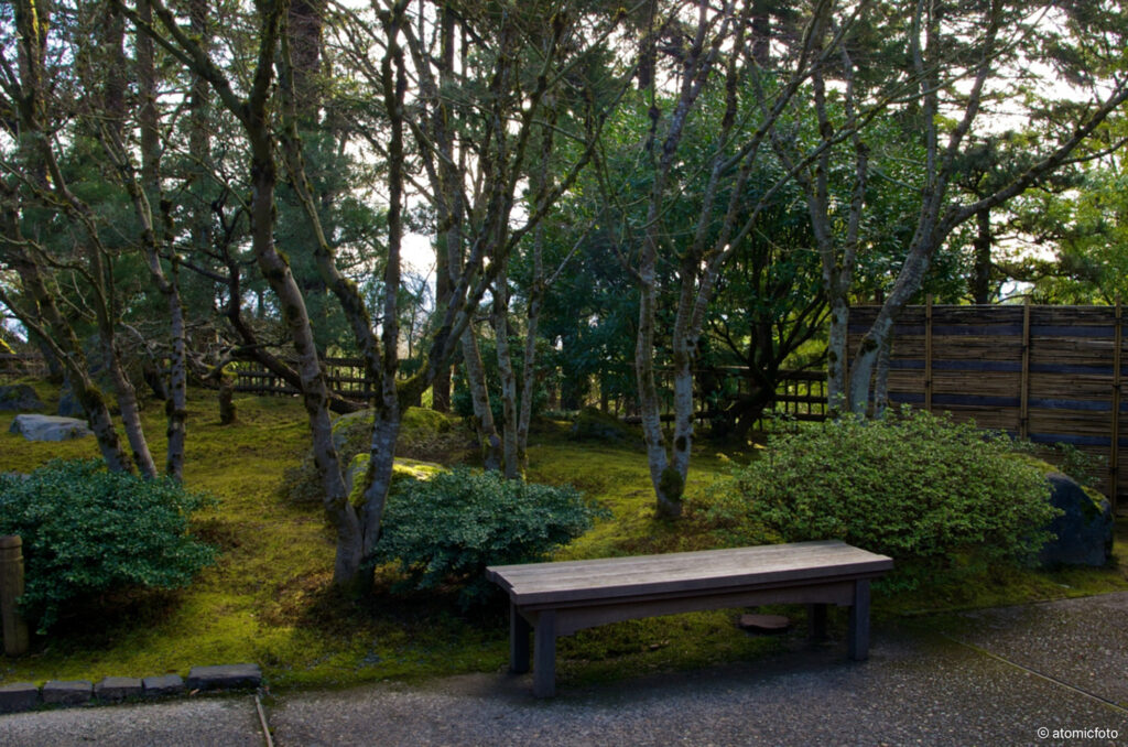 Developing photo skills at the Portland Japanese Garden with David Cobb - atomicFOTO