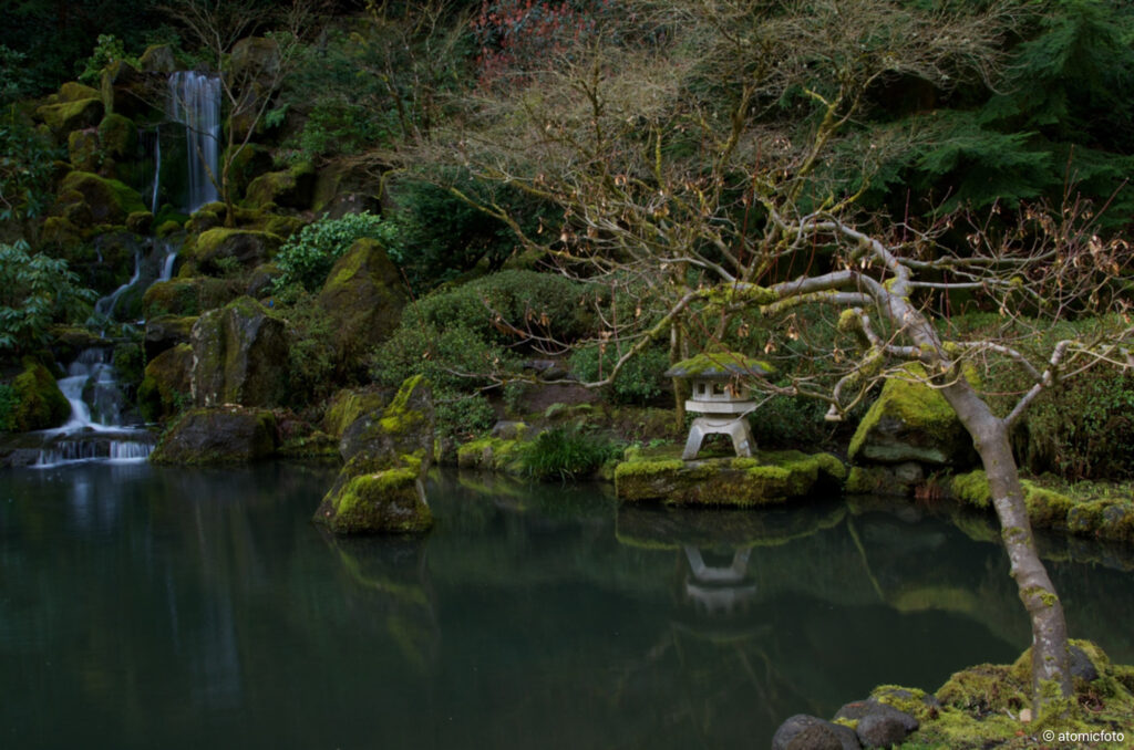 Developing photo skills at the Portland Japanese Garden with David Cobb - atomicFOTO