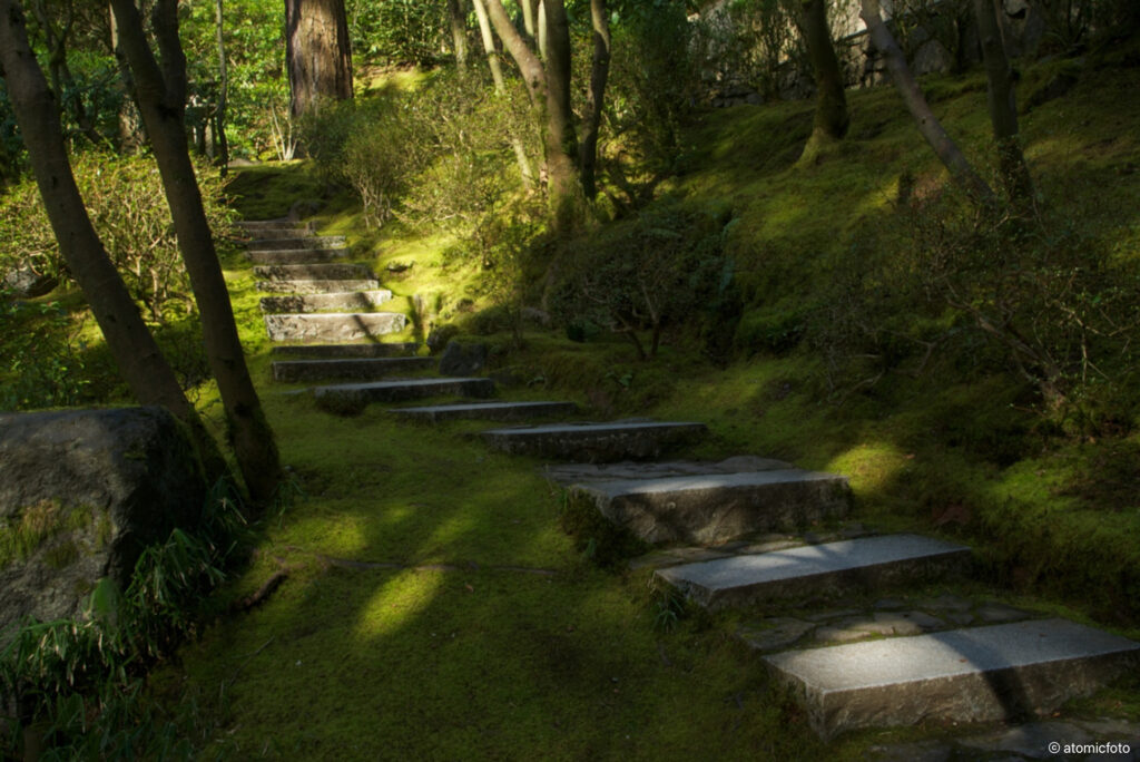 Developing photo skills at the Portland Japanese Garden with David Cobb - atomicFOTO