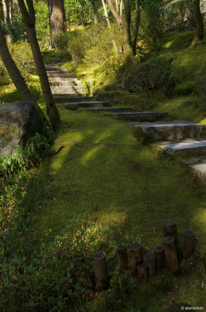 Developing photo skills at the Portland Japanese Garden with David Cobb - atomicFOTO